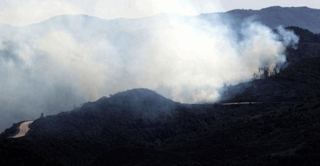 Türkiye sınırındaki Türkmen Dağı'nda yangın devam ediyor