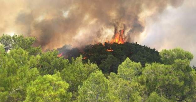 Manavgat'ta orman yangını; 1 yaralı