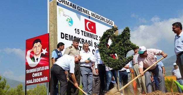Mersin'de Şehit Ömer Halisdemir hatıra ormanı yapılıyor