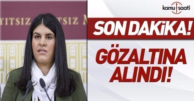 HDP'li vekil Öcalan gözaltına alındı