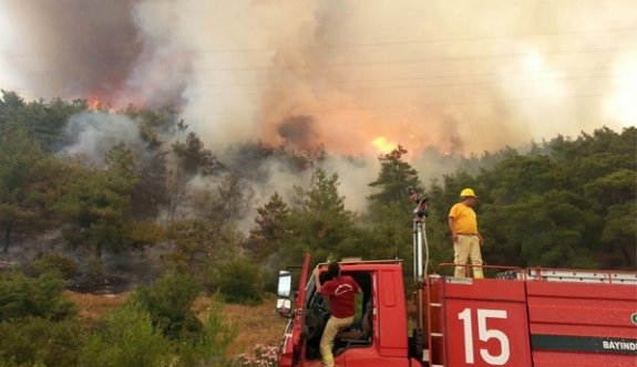 İzmir ve Mersin'in ardından Çanakkale'de de orman yangını
