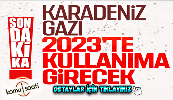 Erdoğan: Karadeniz gazını 2023'te kullanıma sunacağız