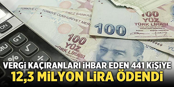 Vergi kaçıranları ihbar edenlere 12,3 milyon lira ödendi