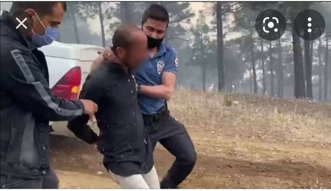 Adana'da orman yangını: 1 kişi yakalandı
