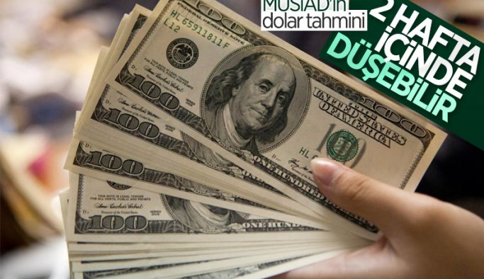 MÜSİAD'dan yıl sonu için dolar tahmini