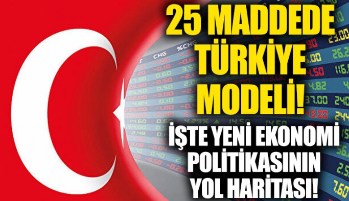 25 başlıkta Türkiye modeli