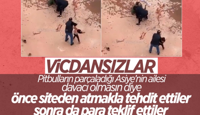 Gaziantep'te pitbull saldırısına uğrayan Asiye'nin ailesi: Davacı olmayalım diye para teklif ettiler