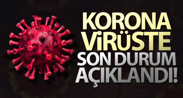 13 Mart Pazar Koronavirüs Tablosu, virüs vaka sayısı kaç?  ölüm sayısı kaç oldu?