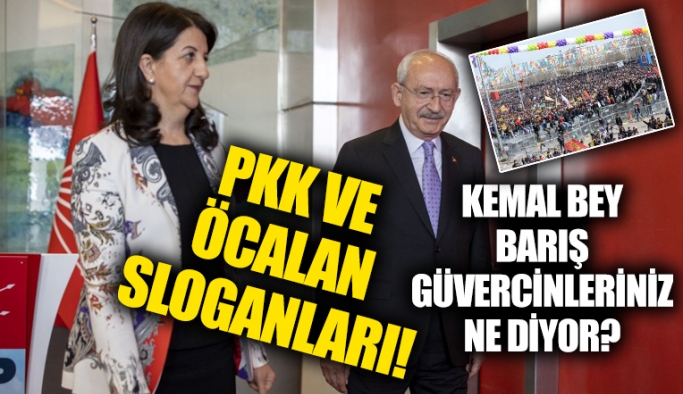 HDP öncülüğünde düzenlenen nevruz etkinliğinde PKK lehine sloganlar attılar!