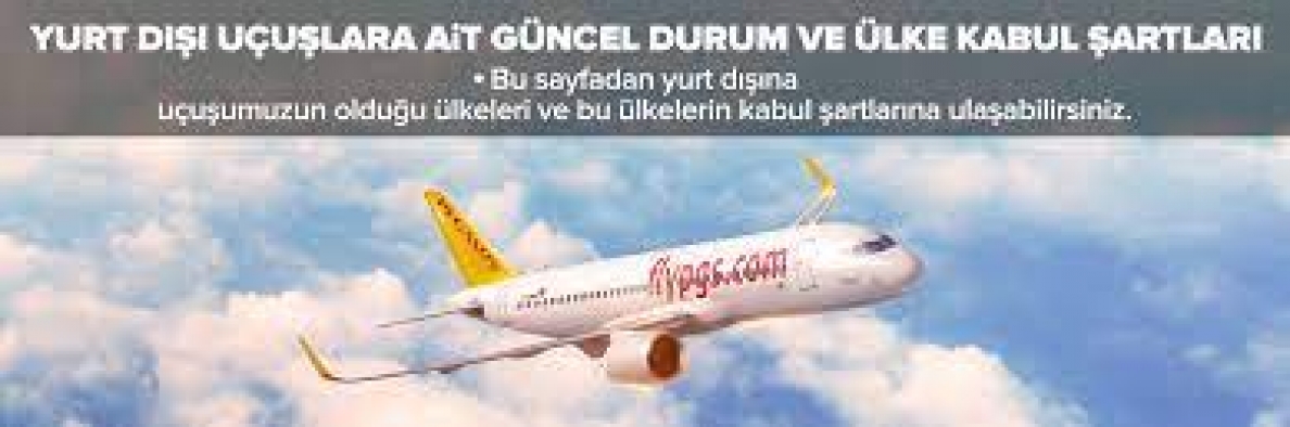 Türkiye'ye giriş yapacak yolcular için korona kurallarında şok bir değişiklik kararı !
