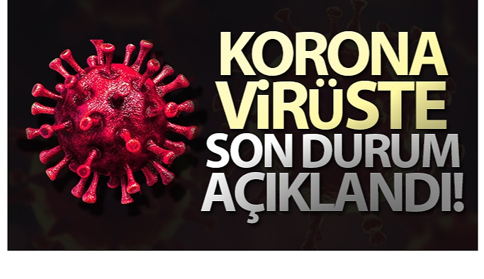 29 Nisan Cuma Korona virüs vaka sayısı kaç?, covid-19 Korona virüs tablosu