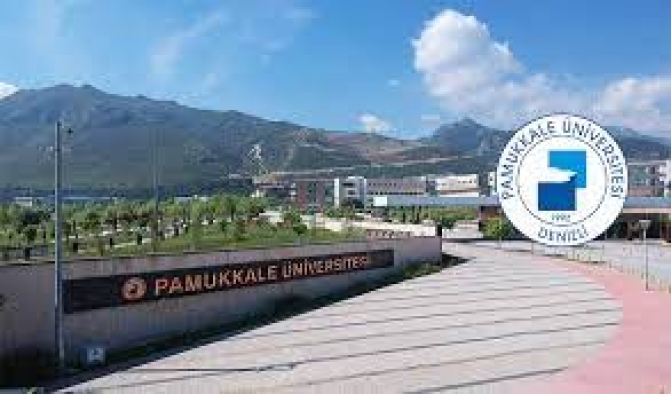Pamukkale Üniversitesi 81 sözleşmeli personel alımı İlanı