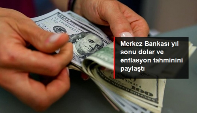 Merkez Bankası anketinde yıl sonu dolar tahmini 18,99 liraya, enflasyon ise yüzde 69,94'e yükseldi