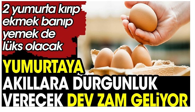 Zam yağmuru devam ediyor: Yumurta fiyatları aldı başını gidiyor!, 30’lu yumurtanın yeni fiyatı ne kadar…