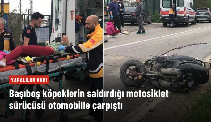 Edirne'de başıboş köpeklerin saldırdığı motosikletli otomobille çarpıştı: 2 yaralı
