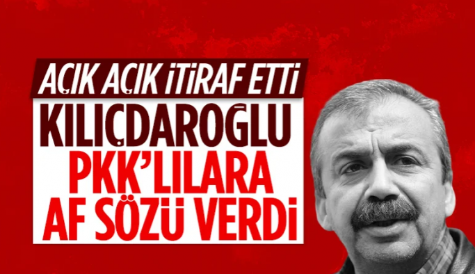 HDP'li Sırrı Süreyya Önder'den Kılıçdaroğlu itirafı: Bize taahhüt ettiği şeyler var yapmak zorunda