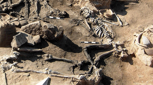 Çin'de bulunan fosiller insanoğlunun geçmişine ışık tutuyor