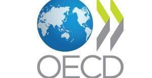 OECD Türkiye için büyüme tahminini yükseltti
