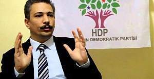 HDP Eş Genel Başkan Yardımcısı Alp Altınörs tutuklandı