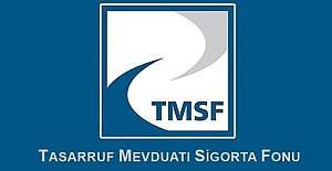 FETÖ'cü 17 şirket TMSF'ye devredildi