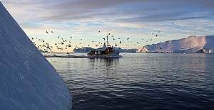 Grönland'dan ABD'ye 'kimyasal atıklarını temizle' talebi