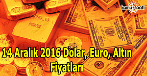 14 Aralık Dolar, Euro kaç TL oldu? Kapalı Çarşı altın fiyatları