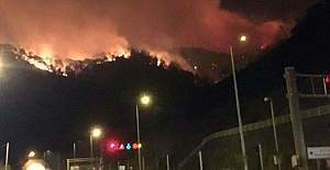 Trabzon Sürmene'de çıkan yangın kontrol altına alındı