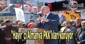 Gündoğdu: “Hayır”cı Almanya PKK’lıları koruyor