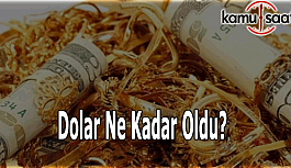 Dolar ve altın düşüşte - 31 Mayıs Dolar kaç TL?