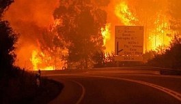 Portekiz'in ormanları yanıyor: 39 ölü