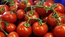 Rusya ve Türkiye domates kısıtlamasını görüşecek