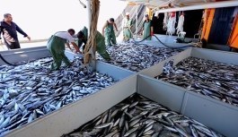 Türkiye'den Çin'e balık ihracatı! İşte o balıklar...