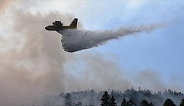 Bilecik'e sıçrayan orman yangını etkisini sürdürüyor