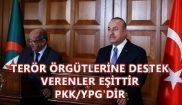 Bakan Çavuşoğlu: Terör örgütlerine destek verenler eşittir PKK/YPG'dir