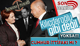 Başkan Erdoğan ve Meral Akşener'den Samimi Pozlar