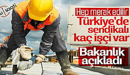 Türkiye'deki Sendikalı İşçi Sayısı Kaç? | En Çok Üye Sahip Sendikalar