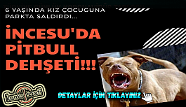 Kayseri'nin İncesu ilçesinde Pitbull Dehşeti!!! 6 Yaşındaki Çocuğa Parkta Pitbull Saldırdı