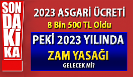 2023 yılında Zam yasağı Gelecek mi?, Asgari ücretin Artmasıyla birlikte Zam Yasağının Gelmesi Gündemde..